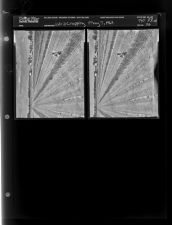 Sleeve 36, Folder a, Box 33