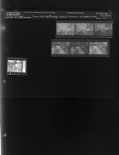 Creek running through woods; Woman on typewriter (7 Negatives), May 26-27, 1964 [Sleeve 114, Folder a, Box 33]