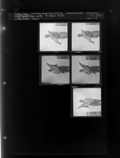 Man with 4-foot Fish (5 Negatives) (May 28, 1964) [Sleeve 123, Folder a, Box 33]