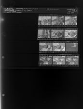 Snowball in June (12 Negatives), June 8-9, 1964 [Sleeve 25, Folder b, Box 33]