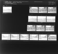 Ayden feature (16 Negatives) (June 24, 1964) [Sleeve 67, Folder b, Box 33]