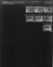 Wallace for Governor (7 Negatives), June 25-26, 1964 [Sleeve 71, Folder b, Box 33]