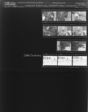 Construction and sewer work; Utility pole; Bethel construction (11 Negatives), July 1-3, 1964 [Sleeve 3, Folder c, Box 33]