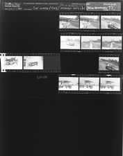 Car wreck; Dog; Woman outside - Miss Greenville here? (12 Negatives) (July 7, 1964) [Sleeve 19, Folder c, Box 33]
