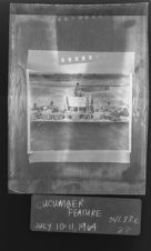 Cucumber feature (1 Negative), July 10-11, 1964 [Sleeve 27, Folder c, Box 33]