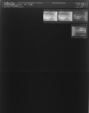 Snake on door (4 Negatives), July 24-25, 1964 [Sleeve 55, Folder c, Box 33]