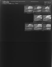 Man (8 Negatives), August 3-4, 1964 [Sleeve 3, Folder d, Box 33]