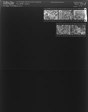 Dollar Day (5 Negatives), August 12-13, 1964 [Sleeve 28, Folder d, Box 33]