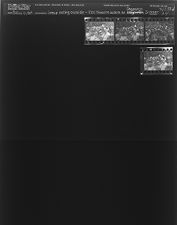 Group eating outside - ECC Theatre actors at Dogpatch dinner? (4 Negatives), August 14-15, 1964 [Sleeve 34, Folder d, Box 33]