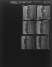 Little League Playoffs (6 Negatives), August 14-15, 1964 [Sleeve 41, Folder d, Box 33]