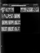 Ring Bell for Nurse; Male Portrait (18 Negatives), September 2-4, 1964 [Sleeve 5, Folder a, Box 34]