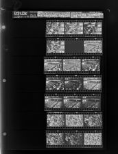 Sleeve 12, Folder a, Box 34