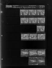 Groups of People; Butt of Rifle (15 Negatives), September 9 - 12, 1964 [Sleeve 24, Folder a, Box 34]