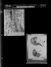 Painting; Female Portrait (2 Negatives), October 3 - 5, 1964 [Sleeve 7, Folder b, Box 34]