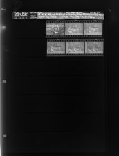 Dr. E. B. Aycock Receiving a Citation from Security Office; Woman at Piano (6 Negatives), December 10 - 11, 1964 [Sleeve 43, Folder d, Box 34]