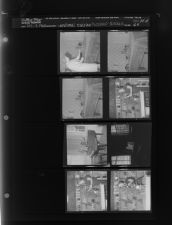 Christmas Edition Pictures - Rosalie (8 Negatives) (December 17, 1964) [Sleeve 68, Folder d, Box 34]