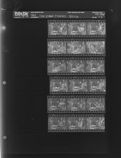 Christmas Feature - Butch (18 Negatives), December 18 - 19, 1964 [Sleeve 73, Folder d, Box 34]
