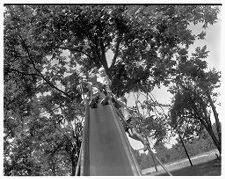 Children on a Sliding Board at Third Street School, Greenville, N.C.