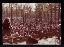 Crowd at outdoor concert