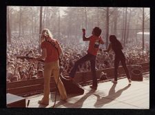 Crowd at outdoor concert