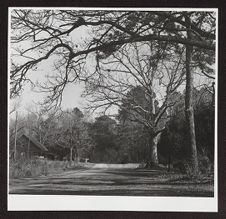 North Carolina landscape photo