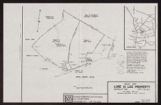 Sales Map for Luke H. Lee Property 