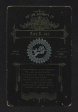 Outland and Copeland Family Papers,