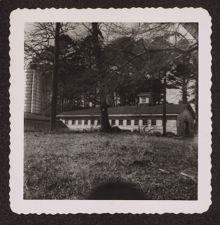 Photographs of Agriculture and Animals