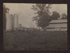 Photographs of Agriculture and Animals