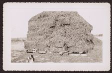 Photographs of Agriculture and Animals