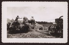 Photographs of Agriculture and Animals