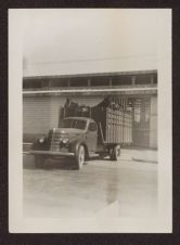Photographs of Agriculture and Animals