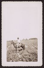 Photographs of Agriculture and Animals