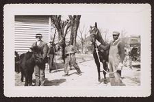 Photographs of Agriculture and Animals