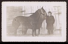 Photographs of Agriculture and Animals