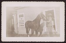 Photographs of Agriculture and Animals
