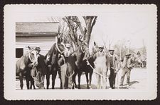 Photographs of Agriculture and Animals