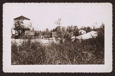 Photographs of Agriculture and Animals