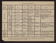 World War II Nursing Notes