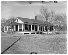 Daily Reflector Negative