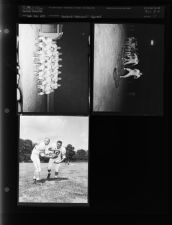 Football, Greenville midgets (3 Negatives) September - December 1955, undated [Sleeve 11, Folder b, Box 8]