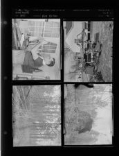 Farm edition (4 Negatives) undated 1955 [Sleeve 42, Folder c, Box 8]