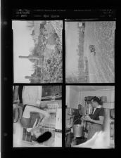 Farm edition (4 Negatives) undated 1955 [Sleeve 44, Folder c, Box 8]