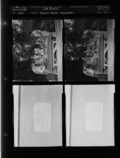 4-H picnic; Mental health assignment (4 Negatives) undated 1955 [Sleeve 18, Folder d, Box 8]