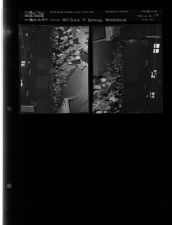 Girl Scout and Brownie Anniversary (2 Negatives) (March 13, 1953) [Sleeve 13, Folder a, Box 2]