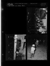Stock Show (3 Negatives) (April 16, 1953) [Sleeve 28, Folder a, Box 2]