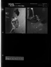 Hit and Run (2 Negatives) (August 10, 1953) [Sleeve 29, Folder a, Box 2]