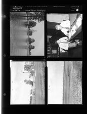 Farm Edition (4 Negatives), 1953 [Sleeve 37, Folder b, Box 2]