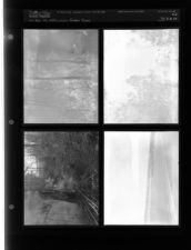 Forest Fires (4 Negatives) (February 19, 1954) [Sleeve 34, Folder b, Box 3]