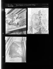 Farm Feature on Livestock -- Hogs (3 Negatives) (March 13, 1954) [Sleeve 31, Folder c, Box 3]